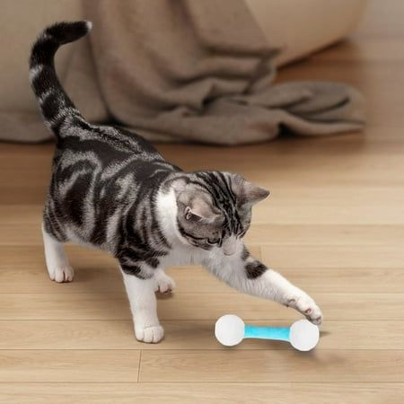 Cat Toy Set – Fun, Play & Entertainment for Your Furry Friend!